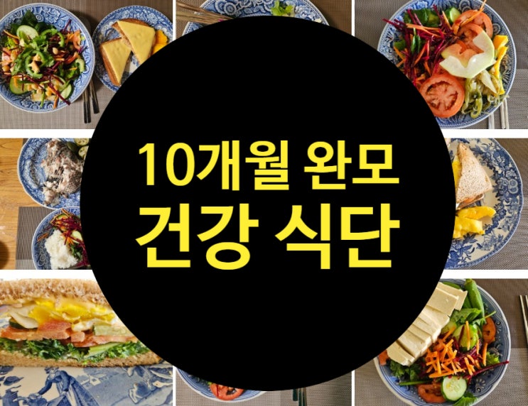  10개월 완모ing 건강 식단