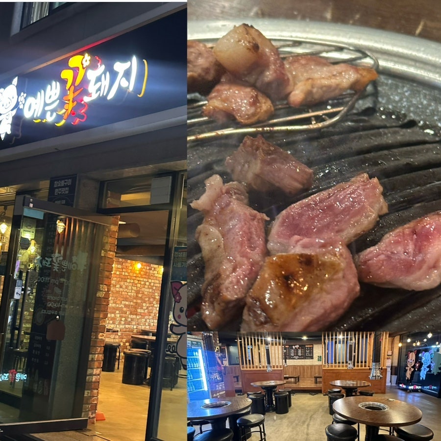 예쁜꽃돼지 사진 1