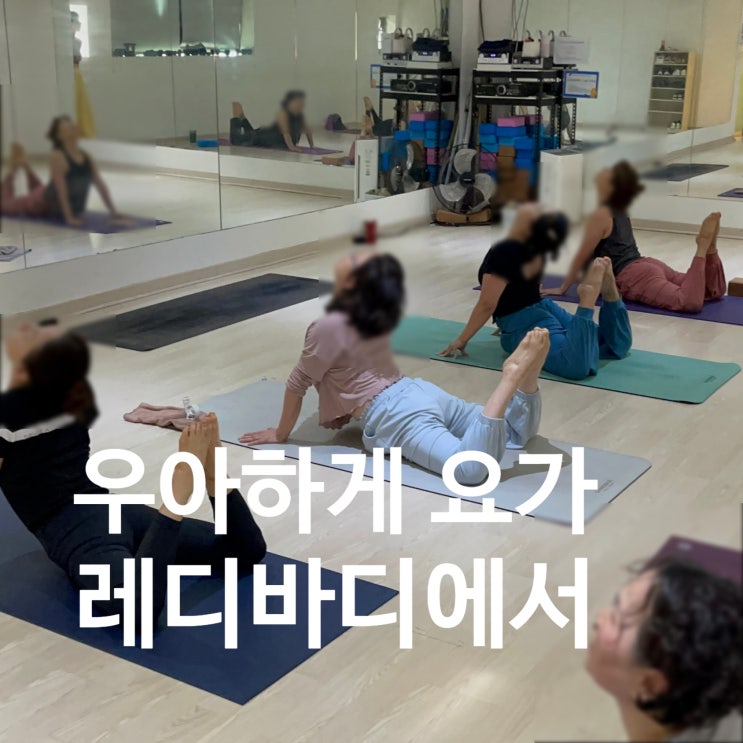  덕이동 헬스장 레디바디에서 우아하게 요가해요