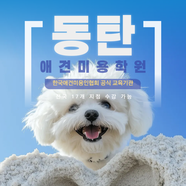  동탄애견미용 시작 후 창업까지 소자본으로