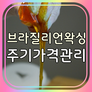  “왁싱 비용 이렇게 다르다고? 브라질리언부터 올 누드까지 완벽 가이드”