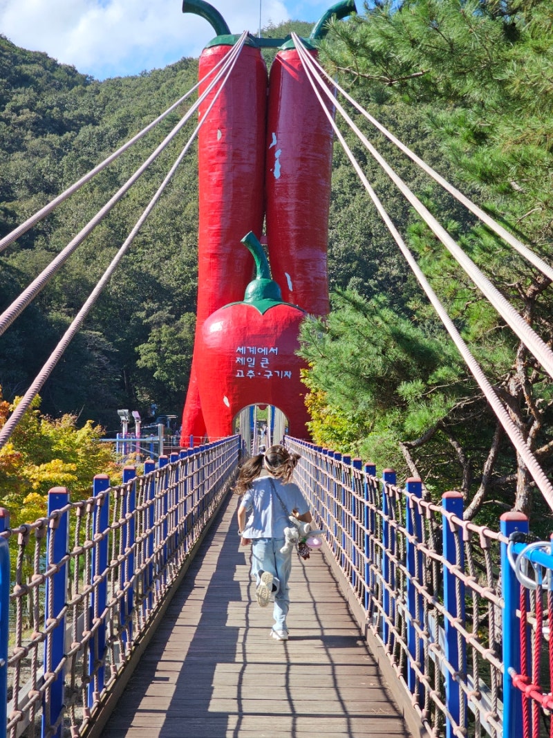 아이와 청양 가볼만한곳 [천장호출렁다리]