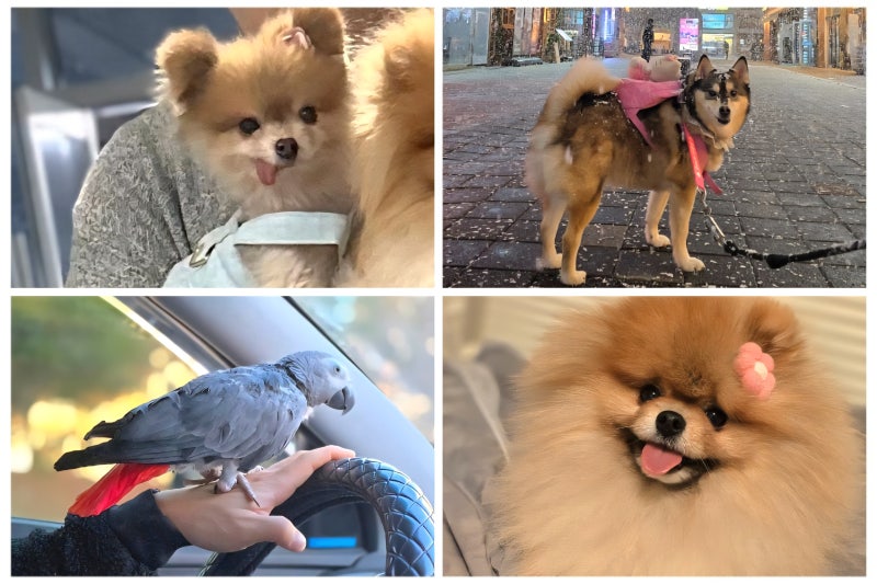 사진 5