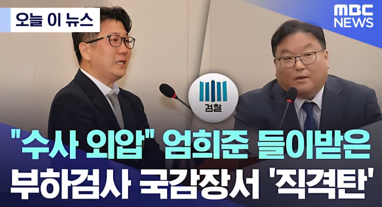 부하검사 <b>국감</b>장서 '직격탄'(김동희·문지석·쿠팡·감사원... 