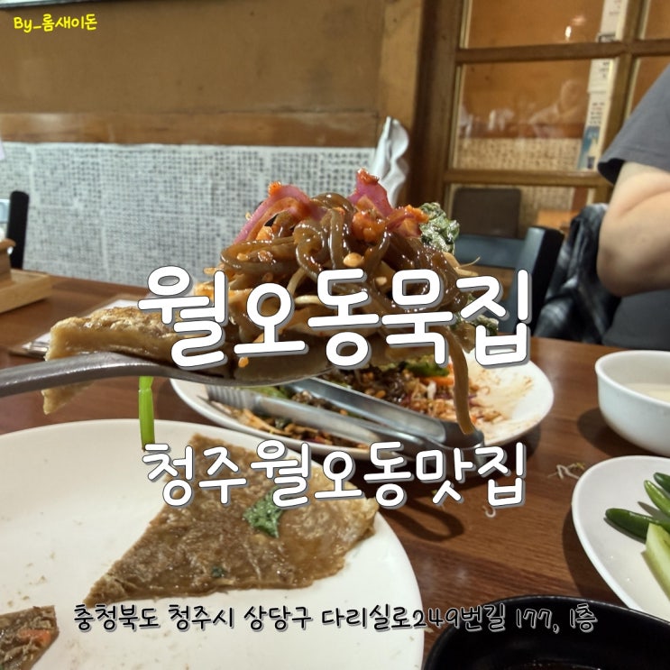  청주월오동맛집 _ 월오동묵집