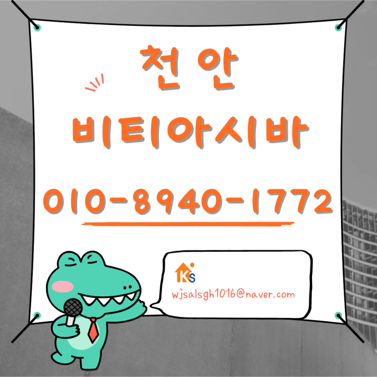  천안 비티아시바  / 피티아시바 (BT아시바 / PT아시바) 임대&판매 전문점