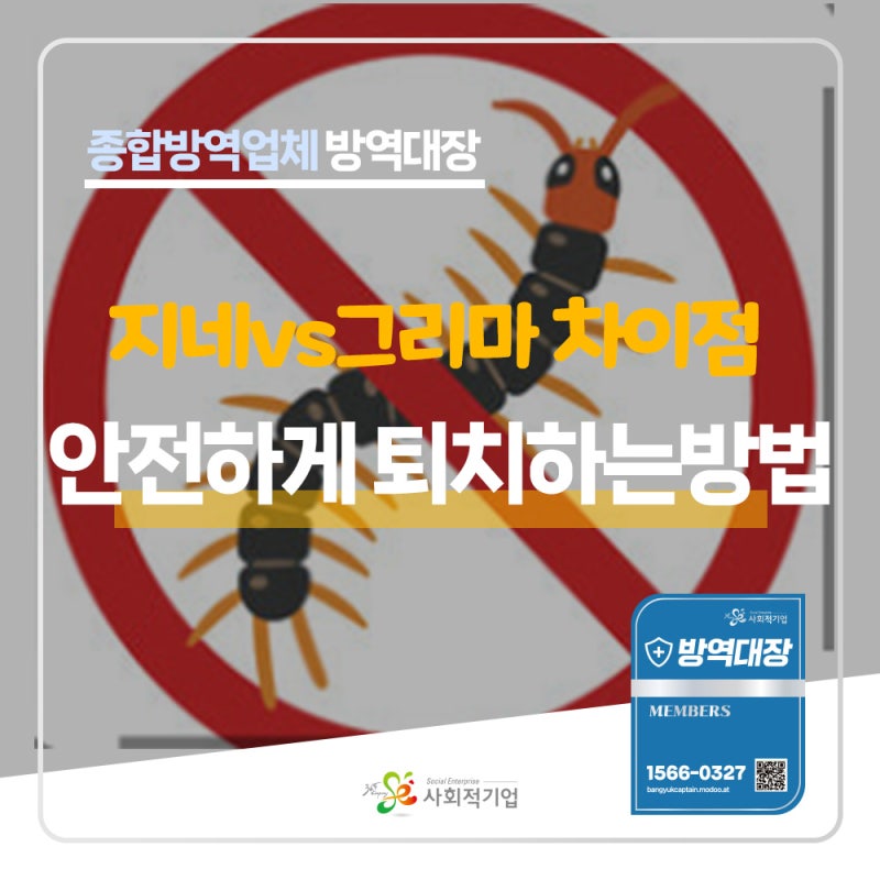 지네와 돈벌레 차이점은?집에서 안전하게 퇴치하는 생활꿀팁 퇴치방법