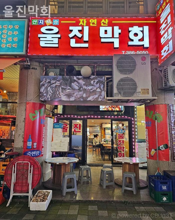 울진막회 사진 2