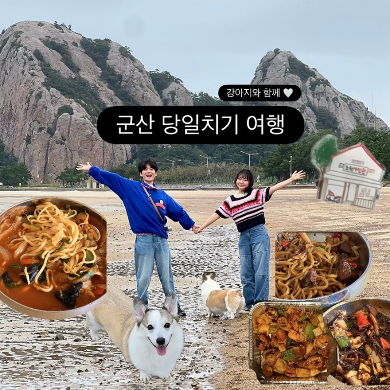 노마진펫마트 24시 익산점