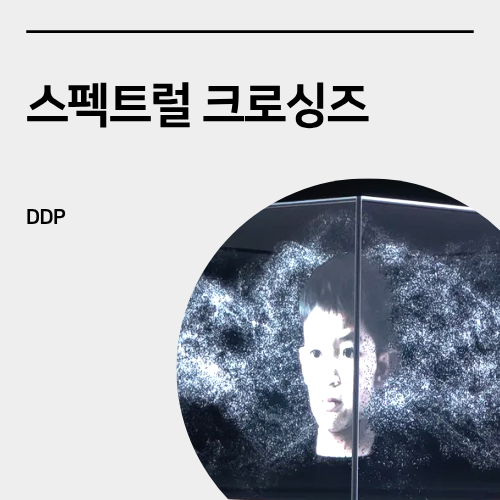  DDP 전시회_" 스펙트럴 크로싱즈 " 관람 후기