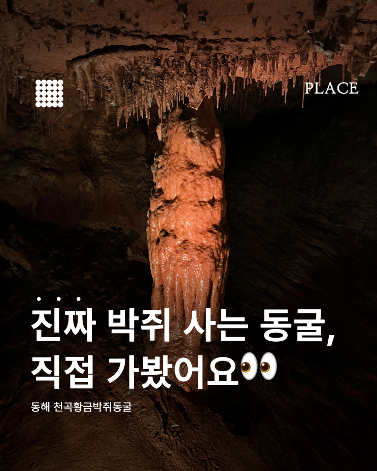  [동해 여행코스 추천]  천곡황금박쥐동굴 탐험기 - 자연이 만든 신비!