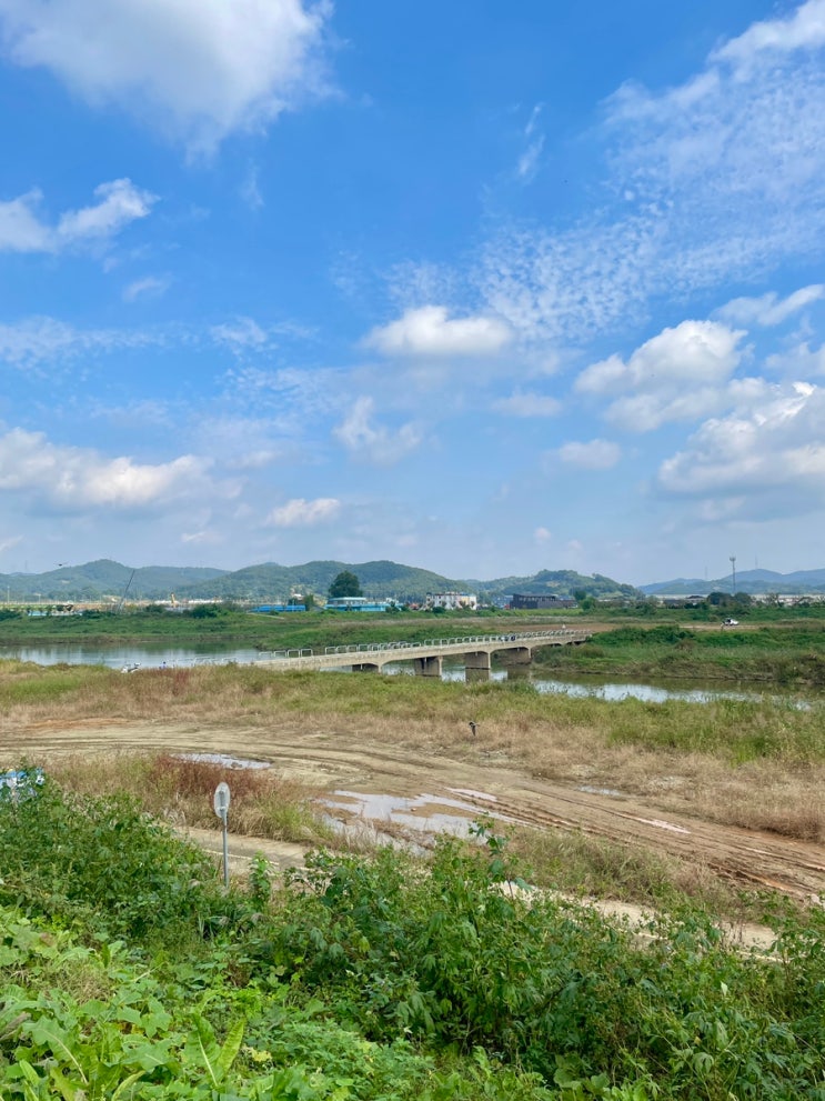 아산환경과학공원 배미수영장 호롱빛공원 주변 곡교천 산책 / 슬쌍디아빠 이동섭