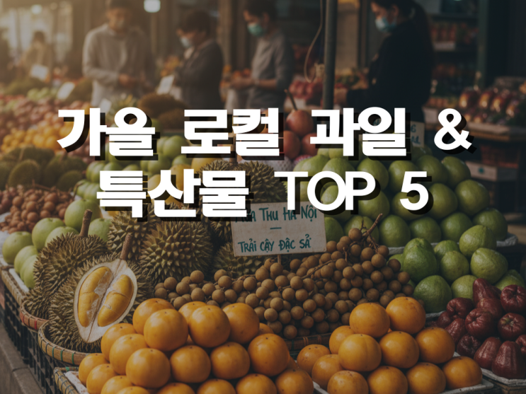  하노이 거주자가 직접 추천! 놓치면 후회하는 가을 로컬 과일 & 특산물 TOP 5