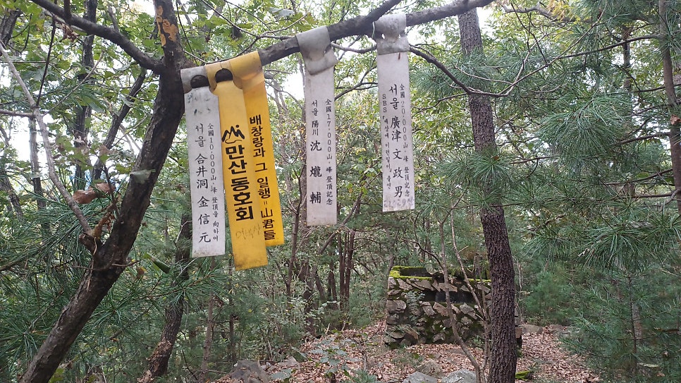 어미산 사진 6