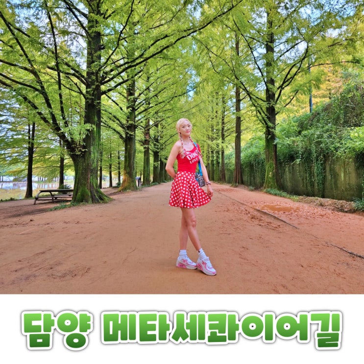  담양 메타세콰이어길 여행코스 가로수길 산책로 입장료 주차 꿀팁 후기