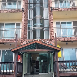 안면도 자연휴양림이 보이는 태안 애견동반 펜션 솔숲하우스에서 고기와 조개 숯불 바베큐
