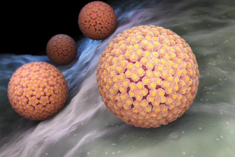 작지만 강한 바이러스, HPV 핵심만 콕 집어보기