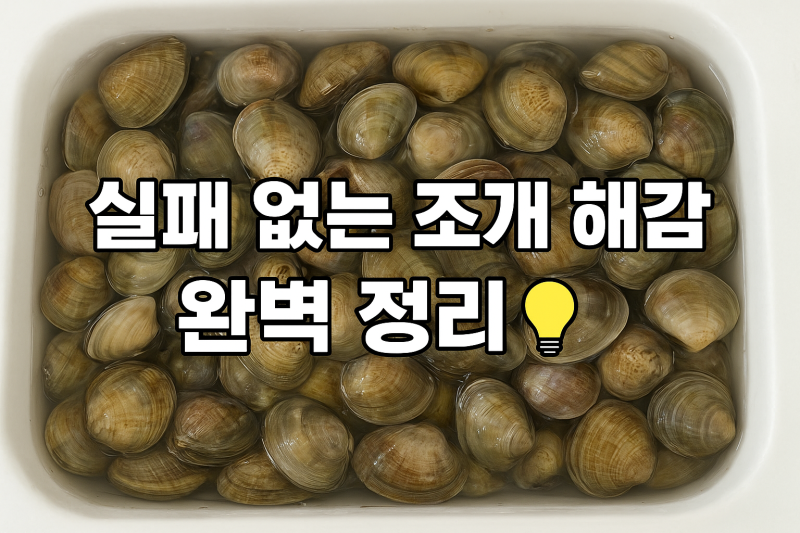 실패 없는 조개 해감법 백합 조개 깨끗하게 손질하는 법 총정리 백합요리 동죽요리 조개찜