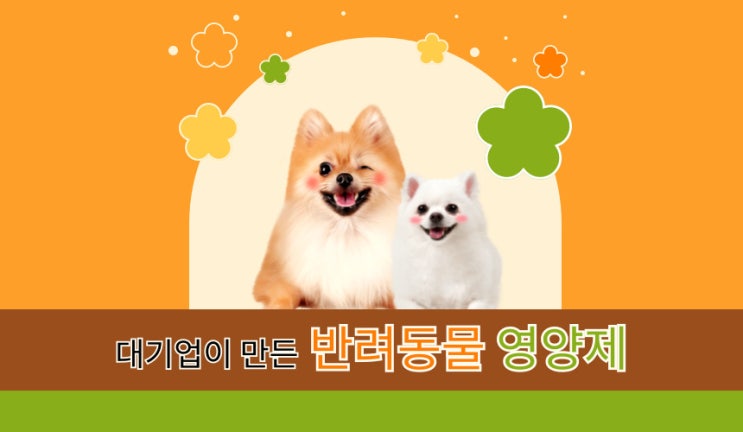  대기업이 만든 반려동물 영양제, 이제는 사람보다 펫 영양제?