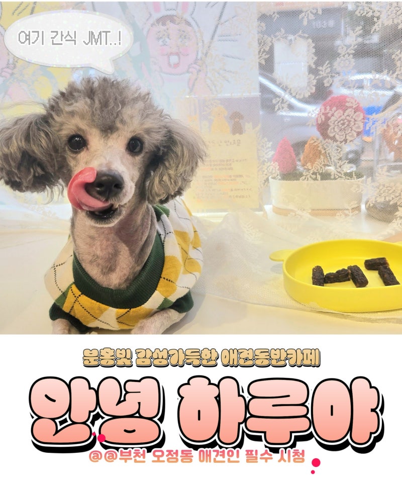 사진 3
