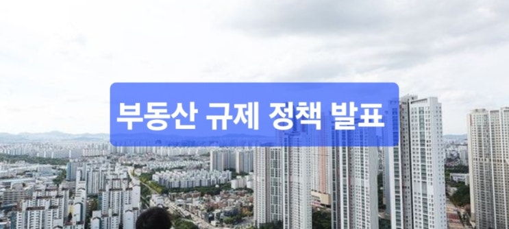  [핫이슈]부동산 규제 정책발표