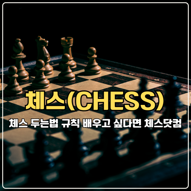  체스 두는법 규칙 제대로 배우고 싶다면 체스닷컴 가입부터