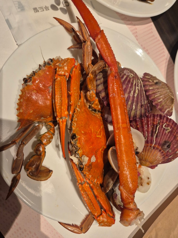  [대전 맛집] 현대 아웃렛 빕스 솔직 후기(skt 평일 할인 후기)