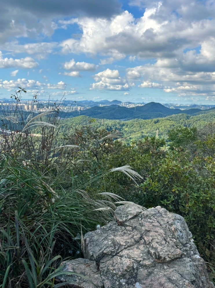  안산 광덕산 등산 | 초보자도 부담 없는 산행코스 안산가볼만한곳 추천
