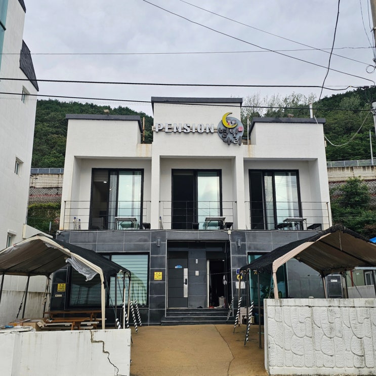  울진 오션뷰 펜션 별빛나리펜션 후포 숙소 후기