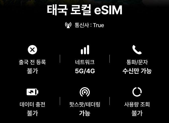  태국 푸켓 해외여행 데이터 로밍 ESIM 추천 (+요금정보)