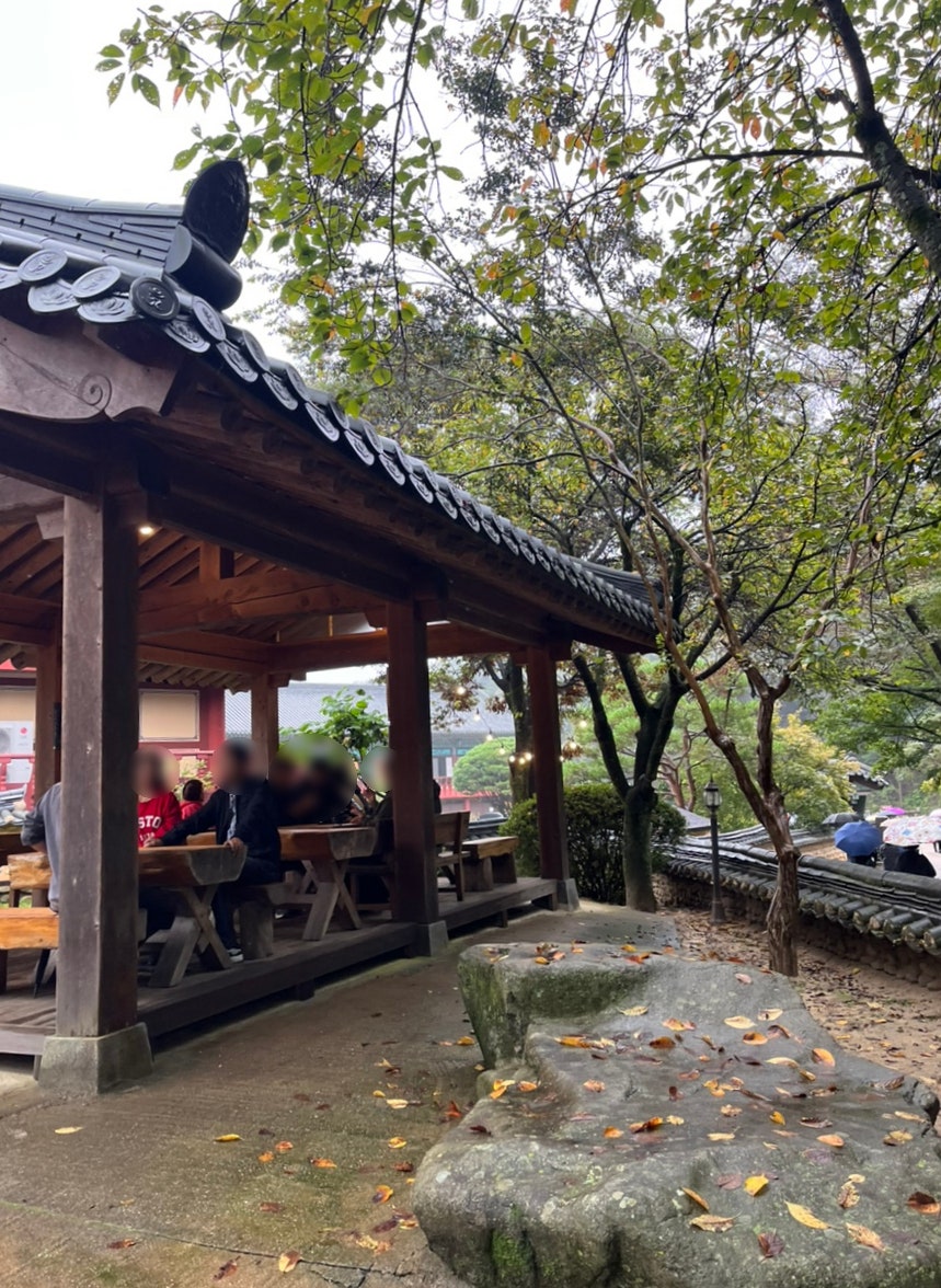 산중다원 사진 4