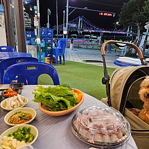 광안리 야장 느낌 횟집 애견동반 가능한 왔다회초장