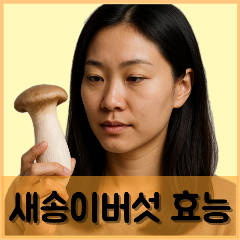 새송이버섯 유통기한 늘리는 보관 방법 곰팡이