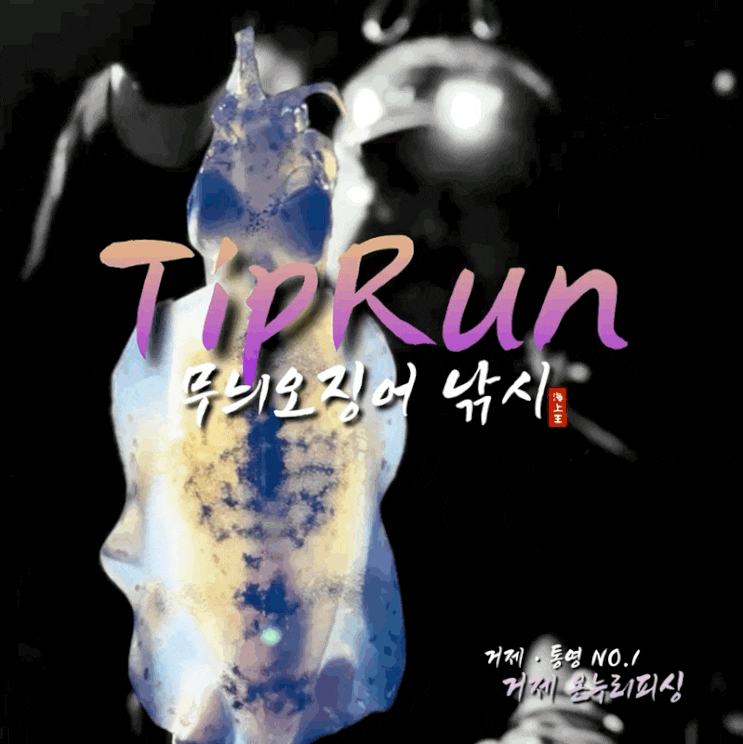  거제  통영 팁런 무늬오징어 탐사 with 온누리피싱