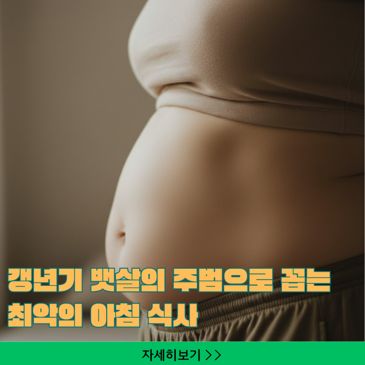  다이어트 비용 0원! 갱년기 호르몬 뱃살 '운동 없이' 녹이는 아침 식사 스위치