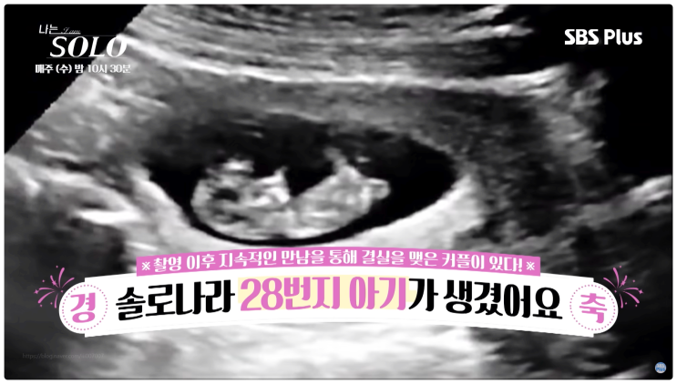  나는솔로 28기 임신 누구? 정숙 상철 현커 목격담 결혼 스포