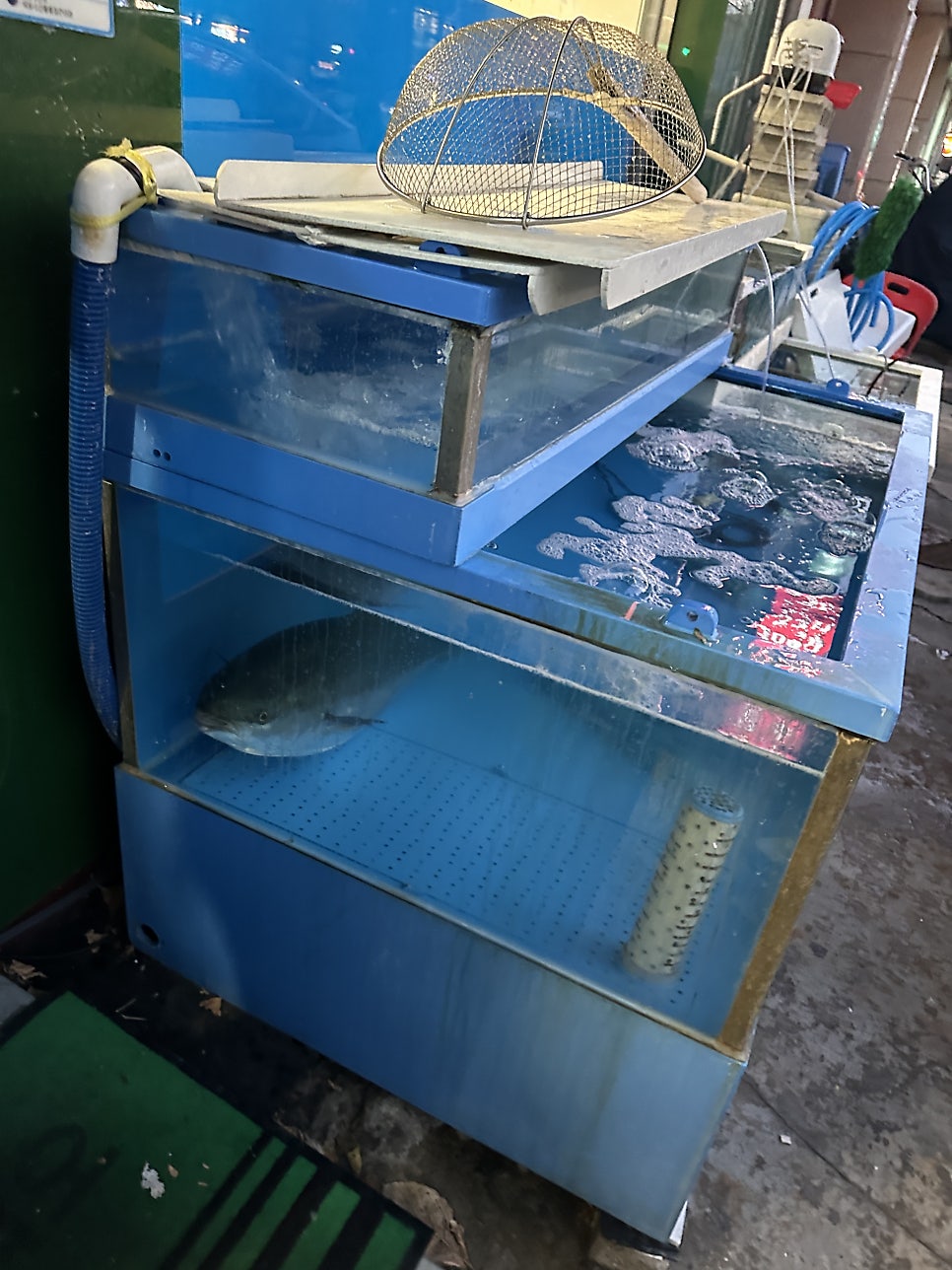 세꼬시회마켓 사진 3