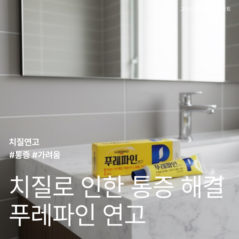 푸레파인 연고 효과 가격 (치질 증상 완화 꿀팁)