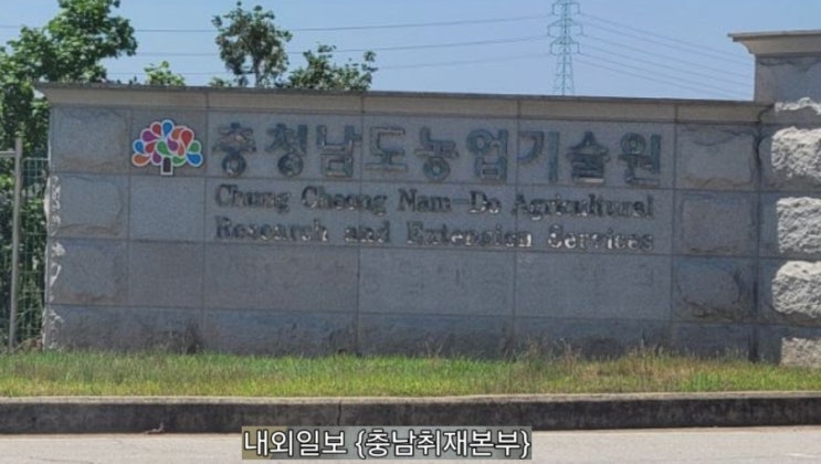 충남 <b>기온 급강하</b> 대비 ... 시설농작물 피해 예방 가이드