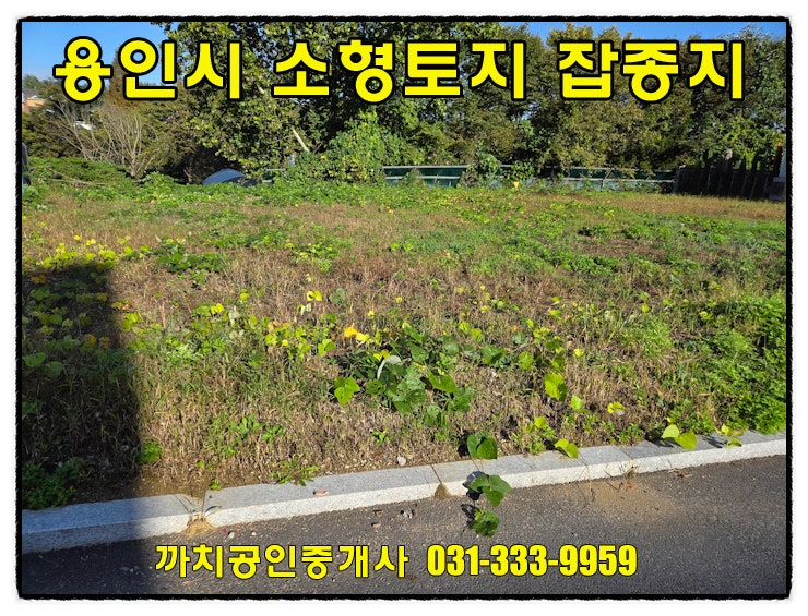  용인시 처인구 포곡읍 소형토지매매 92평 잡종지, 전원주택·창고부지로 추천