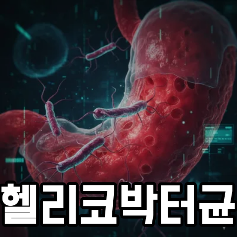 헬리코박터균 원인 및 증상, 전염될 확률은?