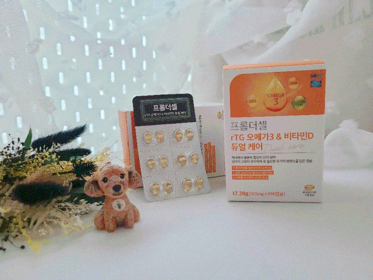  강아지 키우기 필수 영양제 추천, 15살 노령견영양제 프롬더셀 강아지오메가3