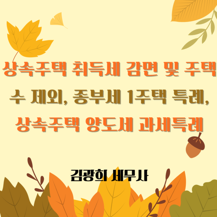  상속주택 취득세 감면 및 주택 수 제외, 종부세 1주택 특례, 상속주택 양도세 비과세 특례