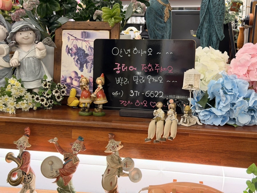 리데오 사진 4