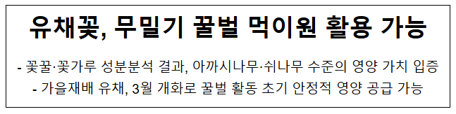  유채꽃, 무밀기 꿀벌 먹이원 활용 가능