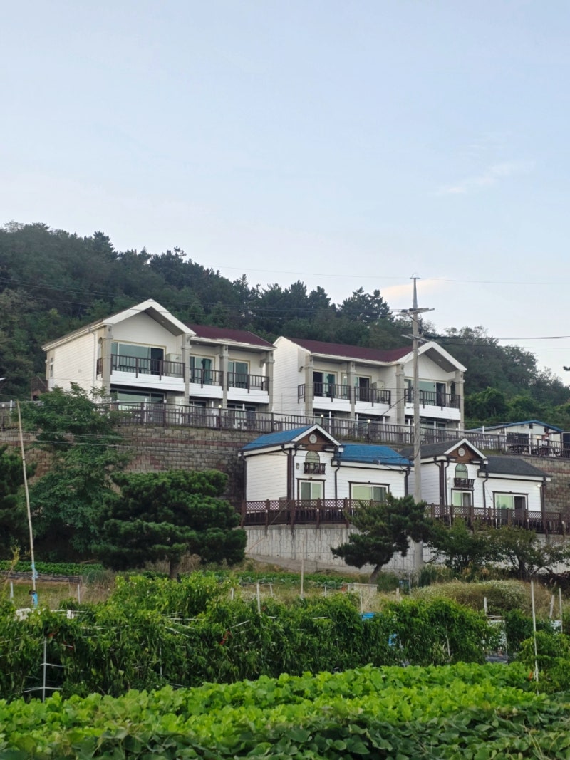사진 2