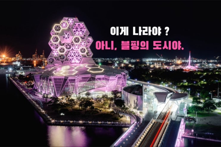 도시 전체가 <b>블랙핑크</b>!? <b>가오슝</b>이 <b>핑크</b>로 물들었다