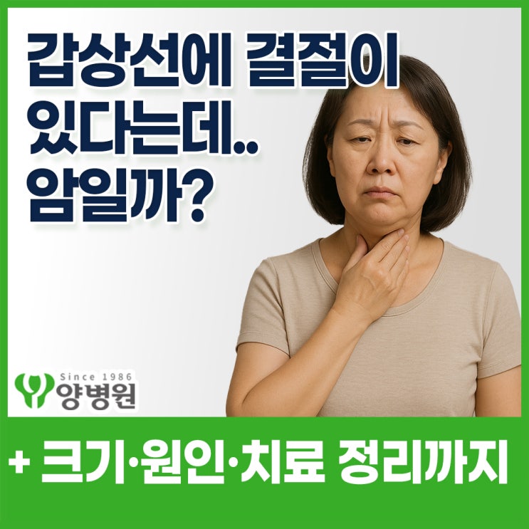  갑상선초음파에서 결절이 보인다고 하는데, 암일까요? - 결절의 크기·모양·원인부터 검사·수술·초기 생존율까지 | 강동구 건강검진센터