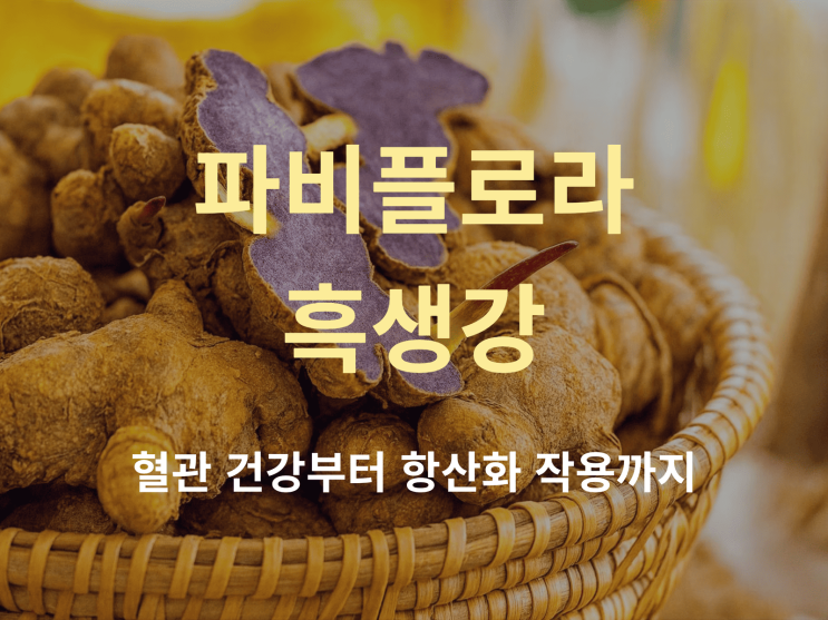  파비플로라 흑생강의 진짜 효능은? 혈관 건강, 항산화 작용 집중 분석