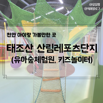 사진 7